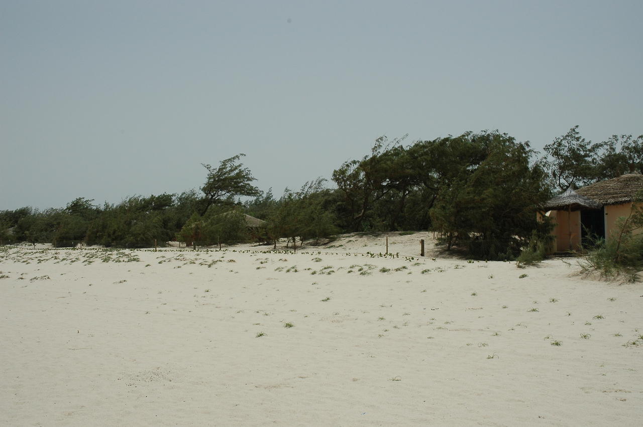 Diamarek Hotel Sur La Plage Saint-Louis Εξωτερικό φωτογραφία